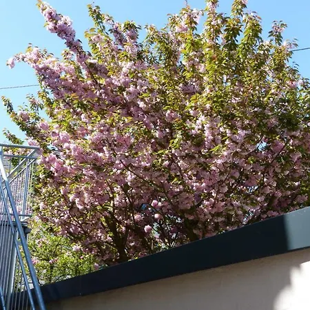 Anduns Exklusive Scheune - Apartman Boppard