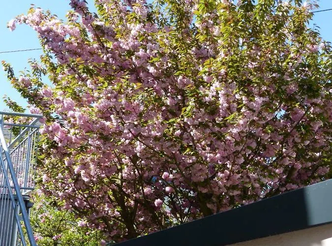 Anduns Exklusive Scheune - Apartamento Boppard